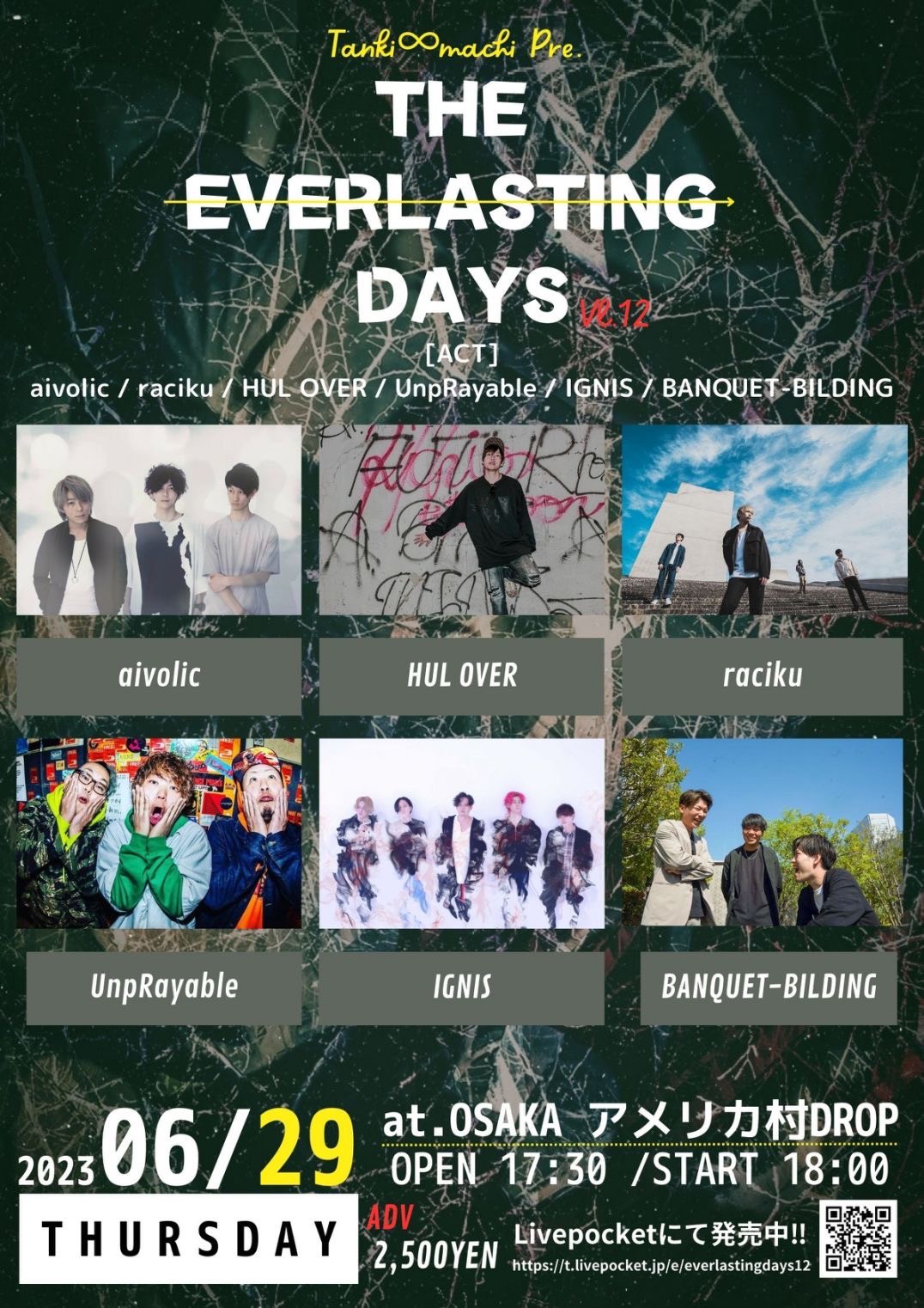 The Everlasting Days Vol.12